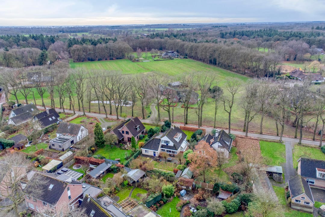 Photo 26 of Korenbloem 26