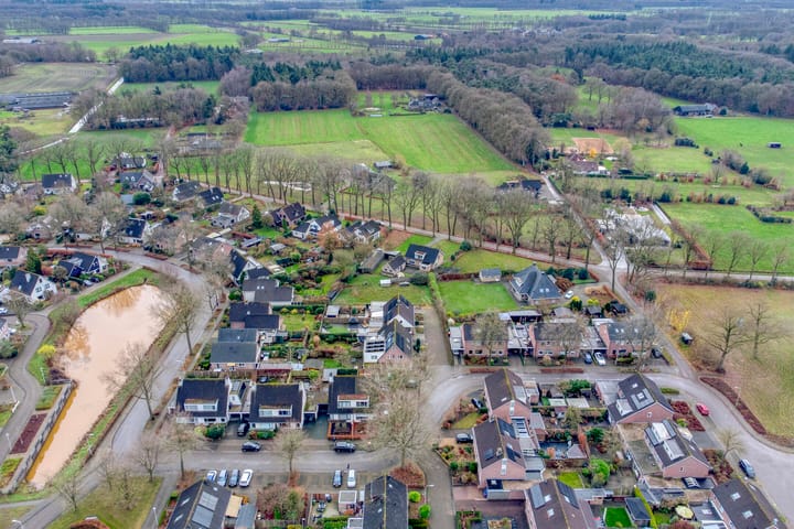 Foto 27 van Korenbloem 26