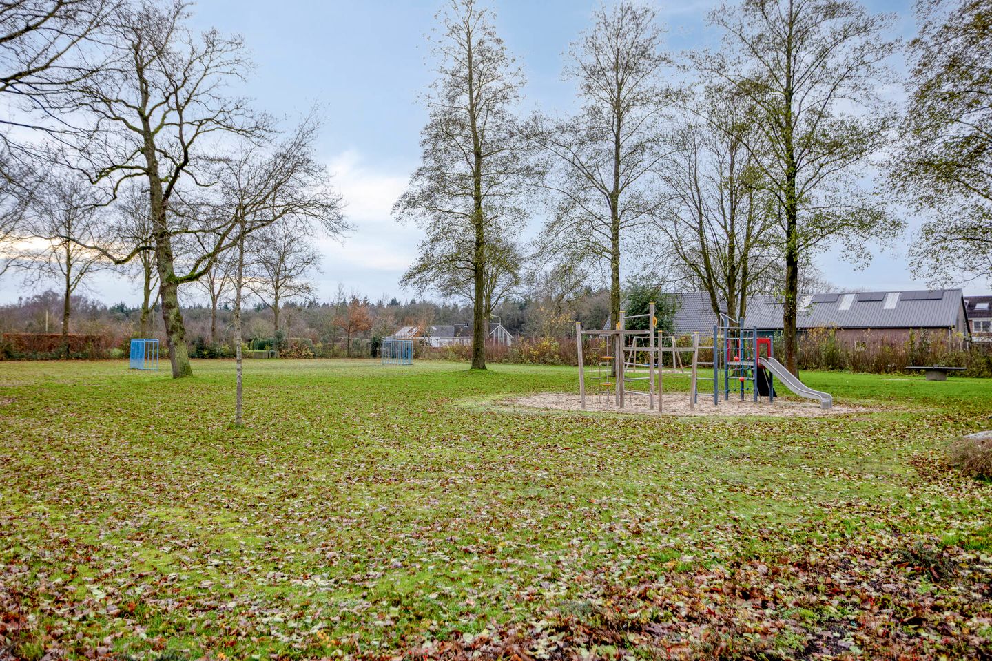 Photo 29 of Korenbloem 26