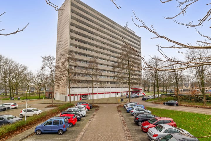 Foto 5 van Tjaarda 132