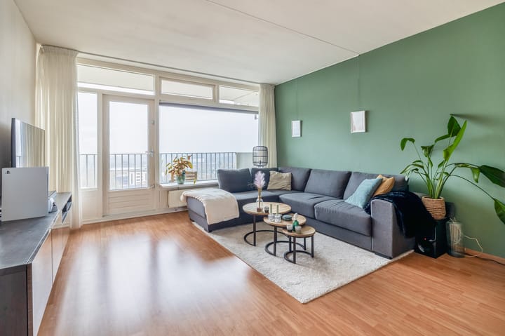 Foto 13 van Tjaarda 132