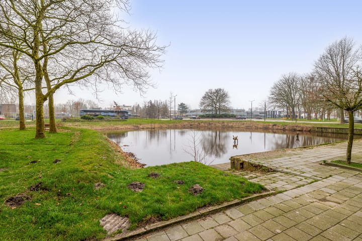 Foto 32 van Tjaarda 132