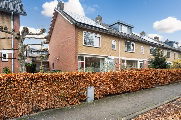 Foto 45 van Smutslaan 28