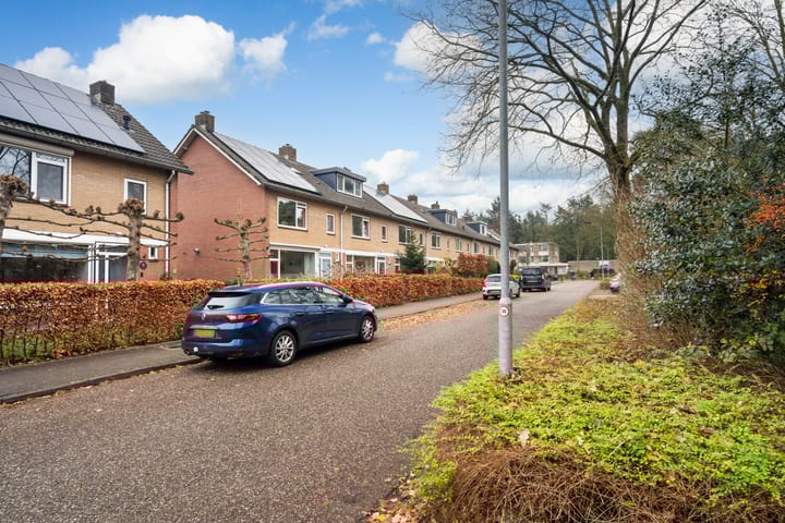 Foto 49 van Smutslaan 28