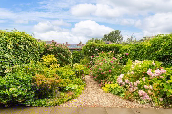 Foto 31 van Willem de Zwijgerlaan 41