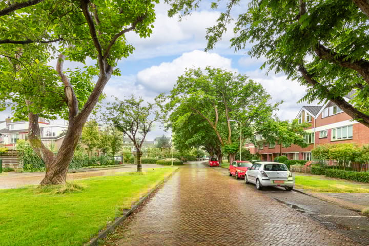 Foto 38 van Willem de Zwijgerlaan 41