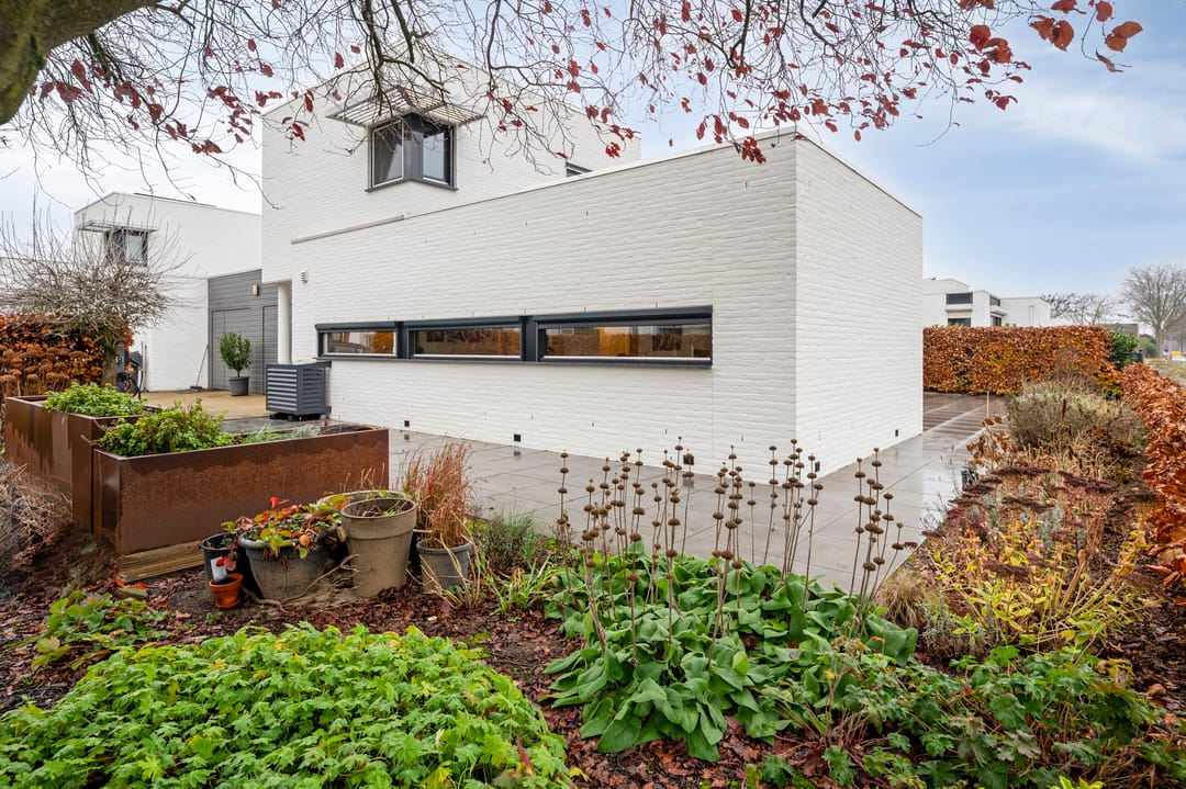 Photo 8 of Westlandstraat 22