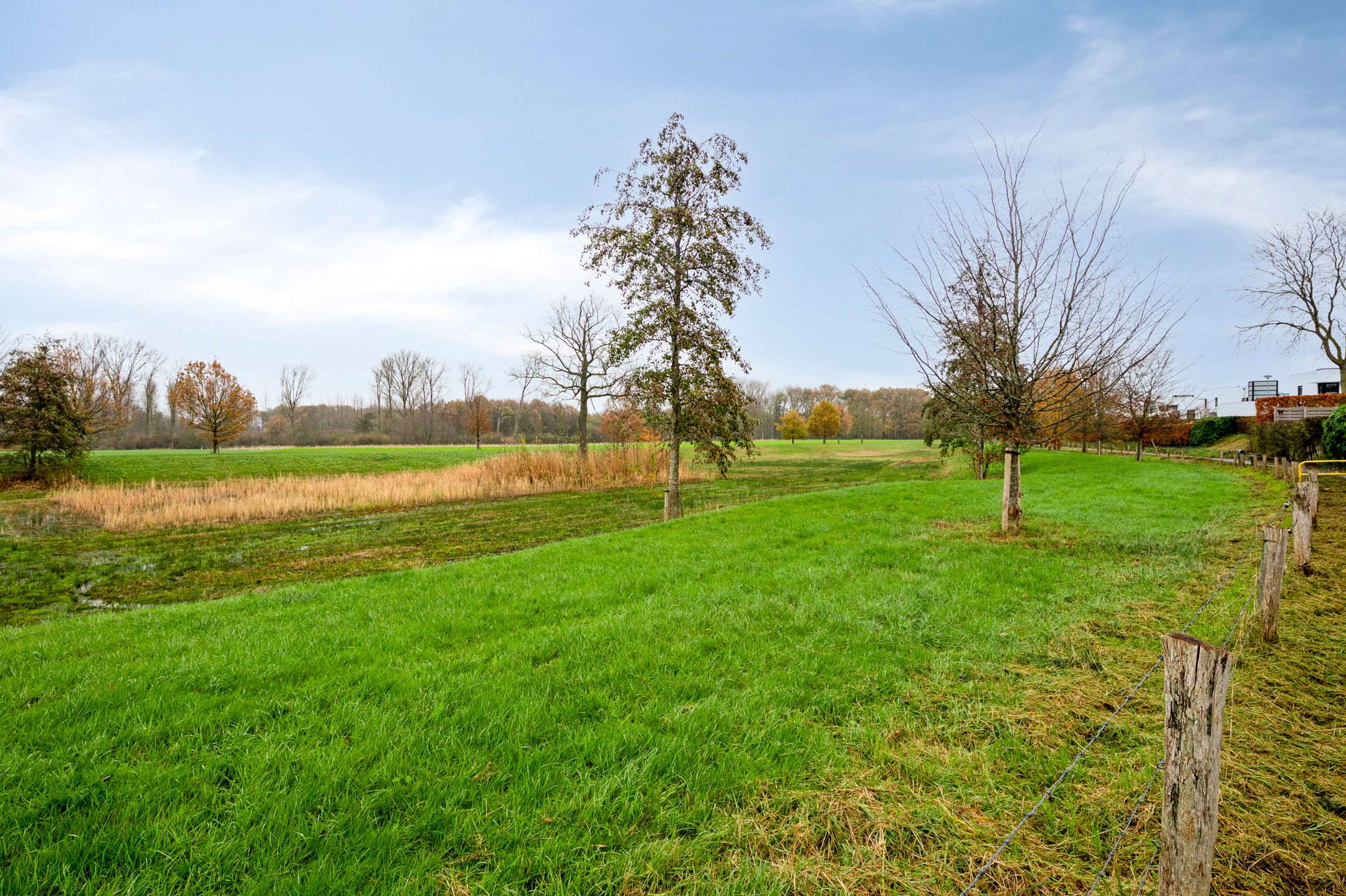 Photo 9 of Westlandstraat 22