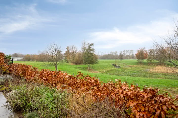 Foto 45 van Westlandstraat 22