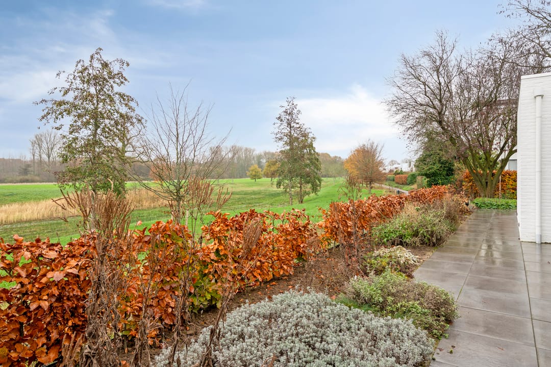 Photo 46 of Westlandstraat 22