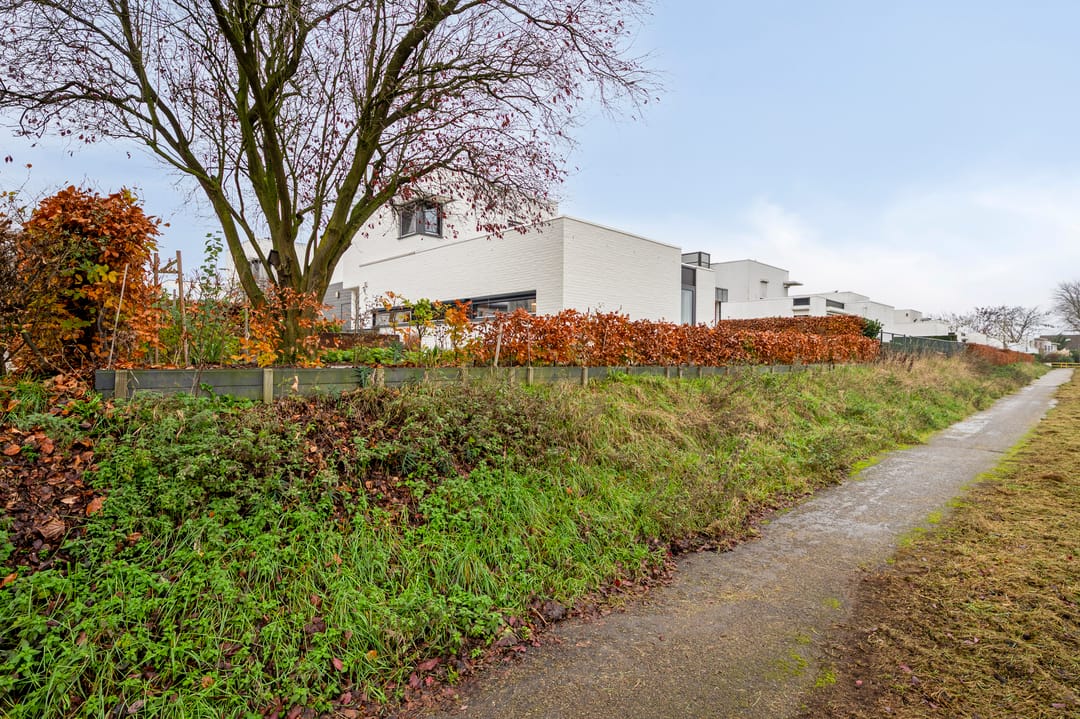 Photo 47 of Westlandstraat 22