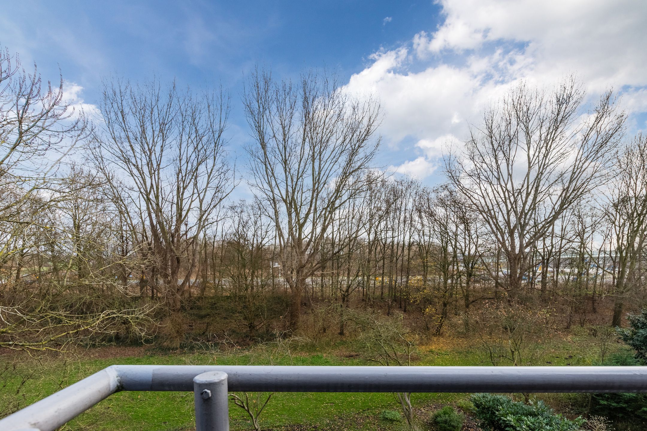 Foto 27 van Fideliolaan 126