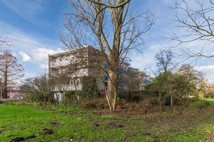 Foto 40 van Fideliolaan 126