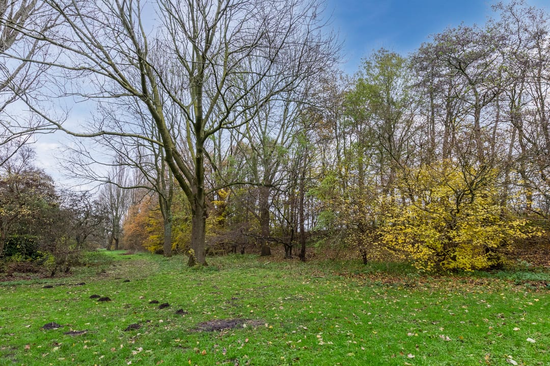 Foto 43 van Fideliolaan 126