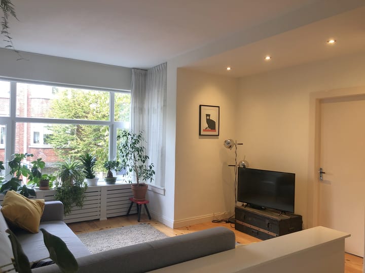 Photo 3 of Stuyvesantstraat 335