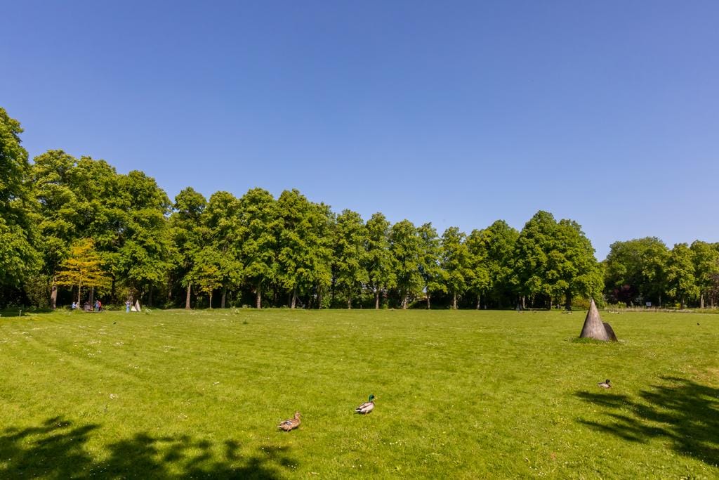 Foto 31 van Arnelaan 81