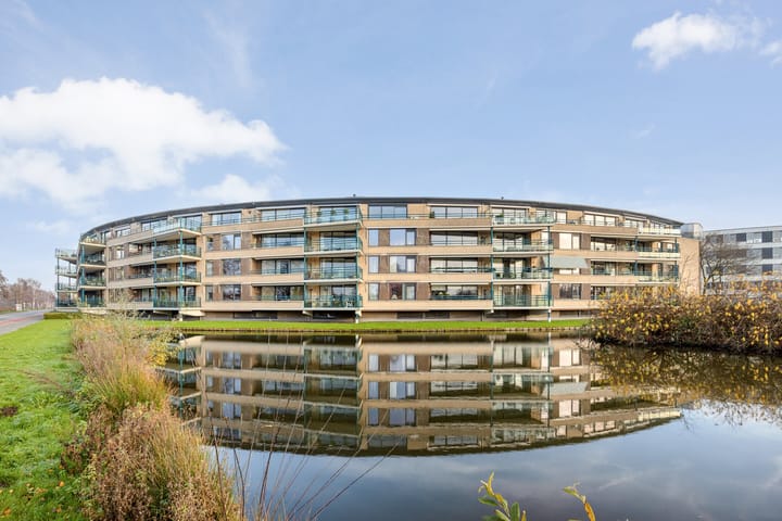 Rigoletto 6 main image