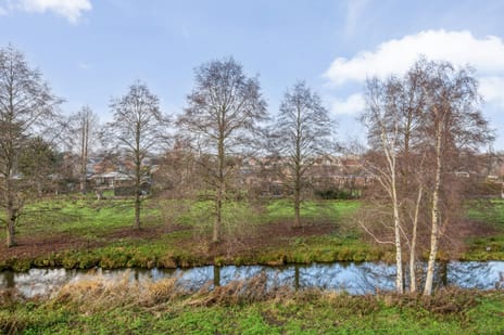 Rigoletto 6 tertiary image