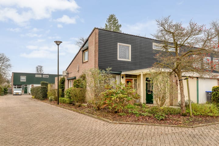 Photo 8 of Henri Dunantplein 12