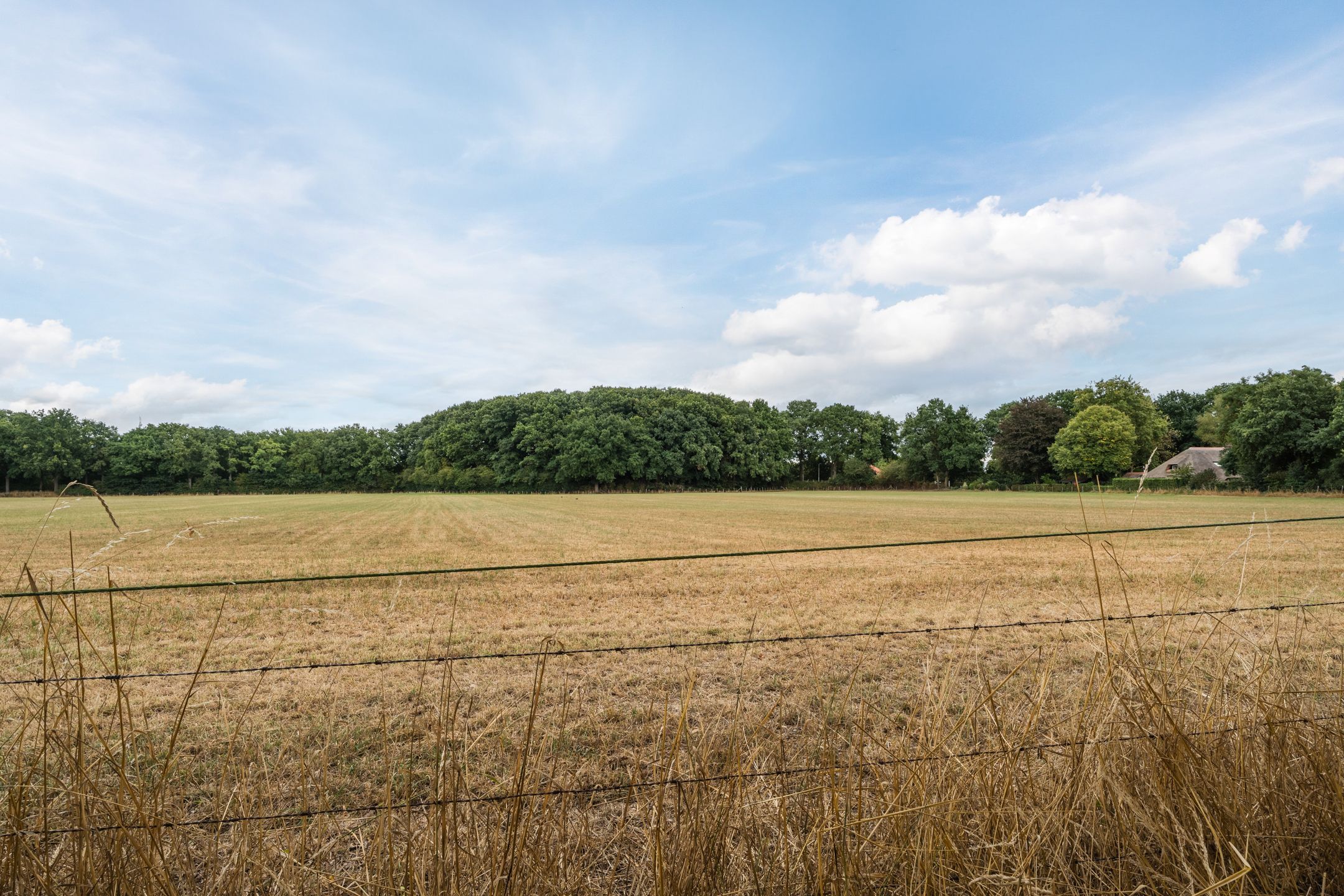 Foto 42 van Frankenstraat 6