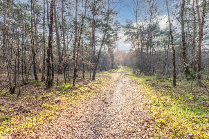 Foto 30 van Vijfsprongweg 30