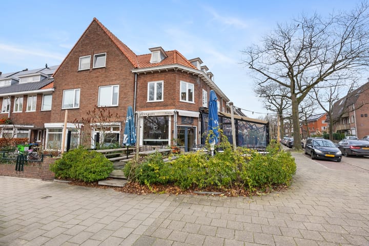 Foto 35 van van Heutszstraat 50