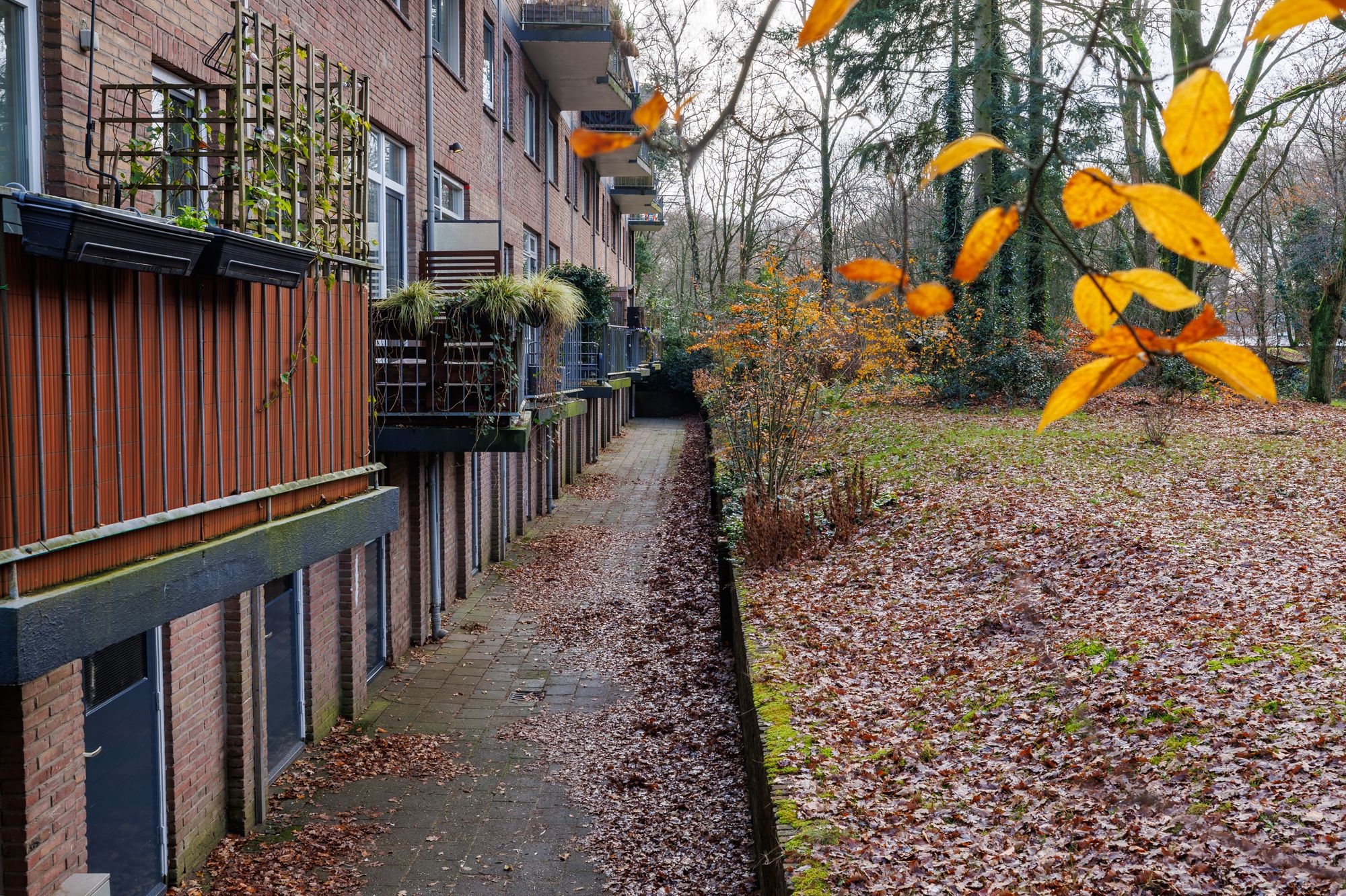 Foto 24 van van Heutszlaan 26