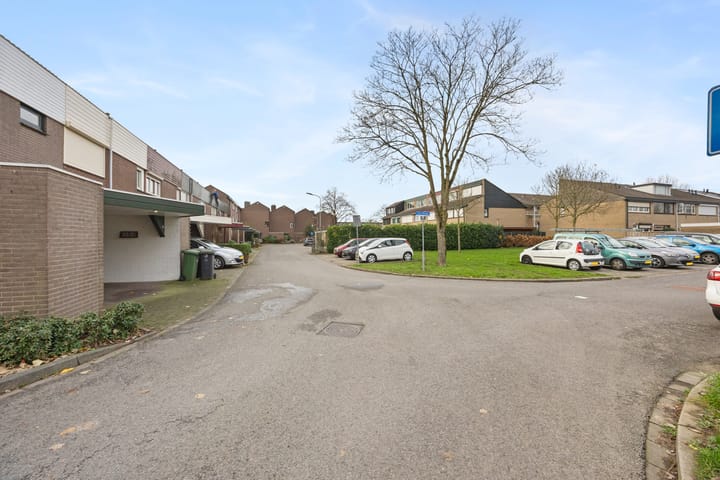 Foto 46 van Halve Morgen 34