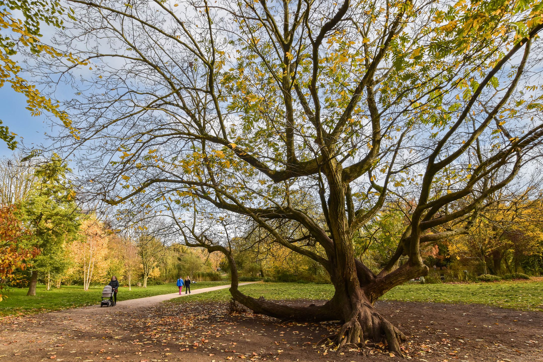 Foto 21 van Albert Cuypstraat 60-2