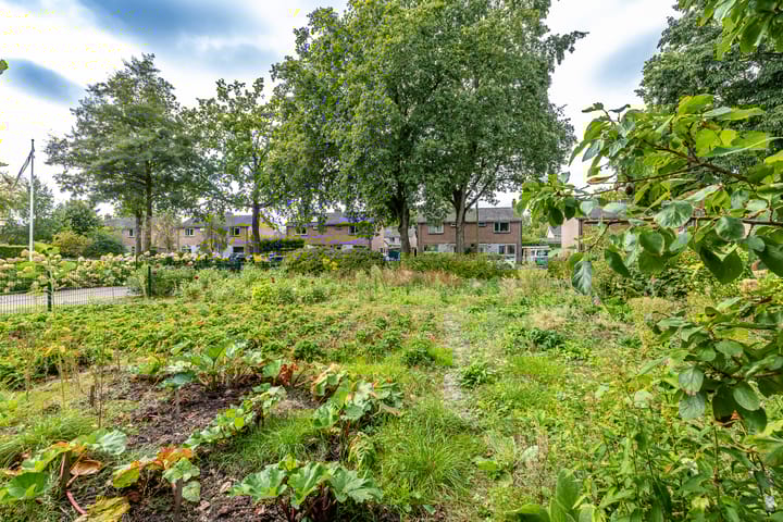 Foto 25 van Mellenssteeg 2