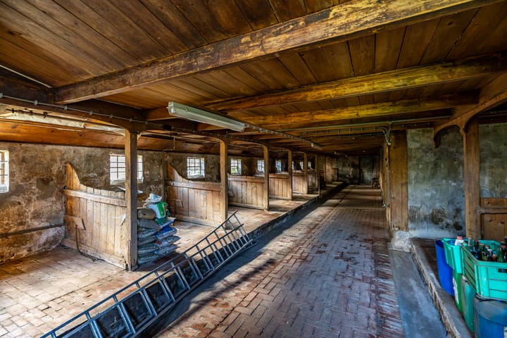 Foto 58 van Mellenssteeg 2