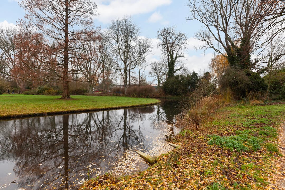 Photo 37 of C. Fockstraat 146