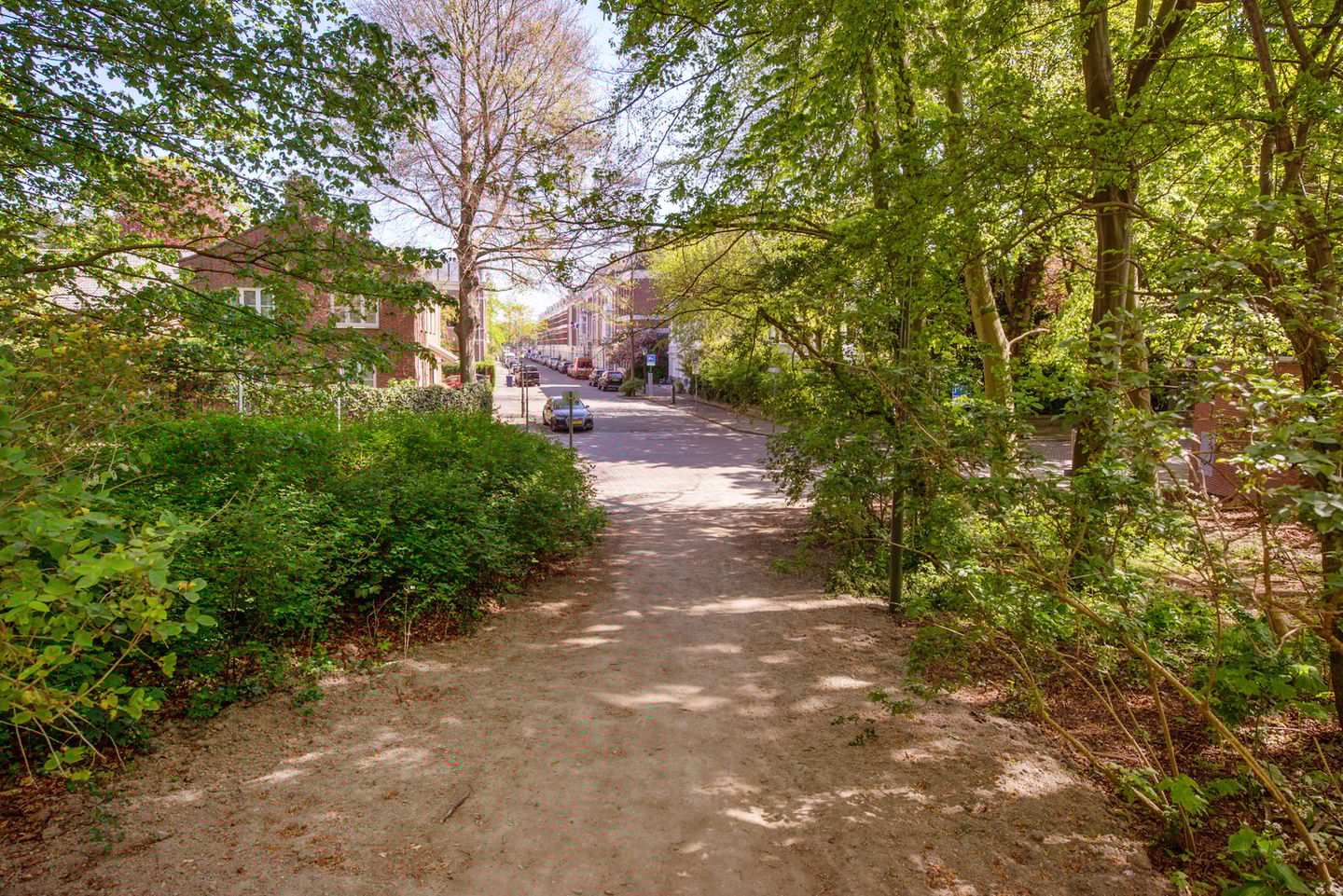 Foto 79 van Riouwstraat 22