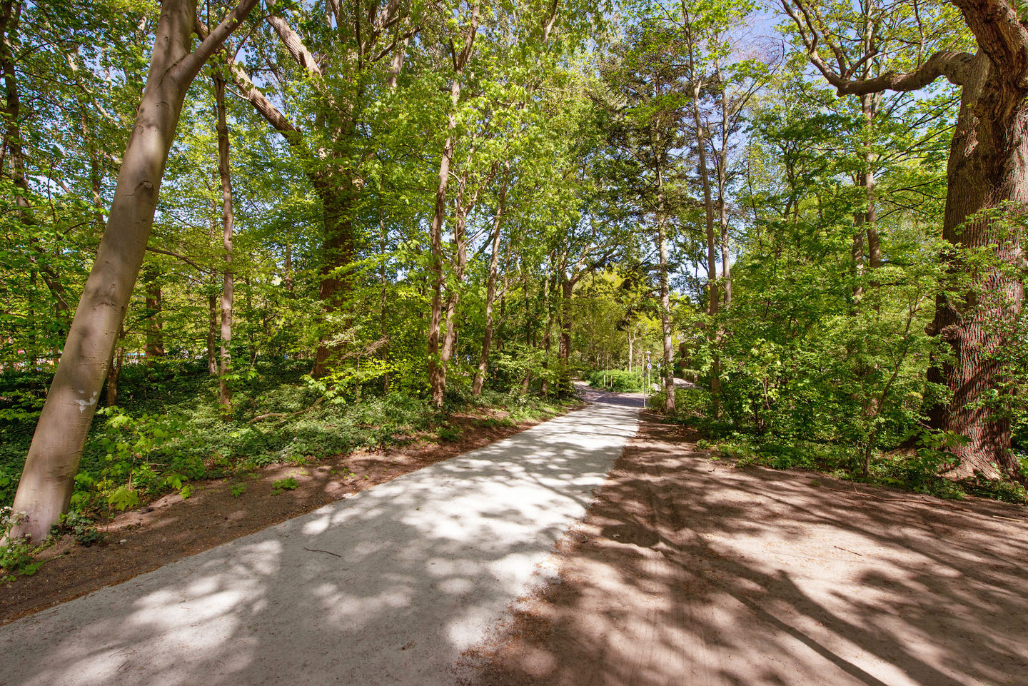 Foto 80 van Riouwstraat 22