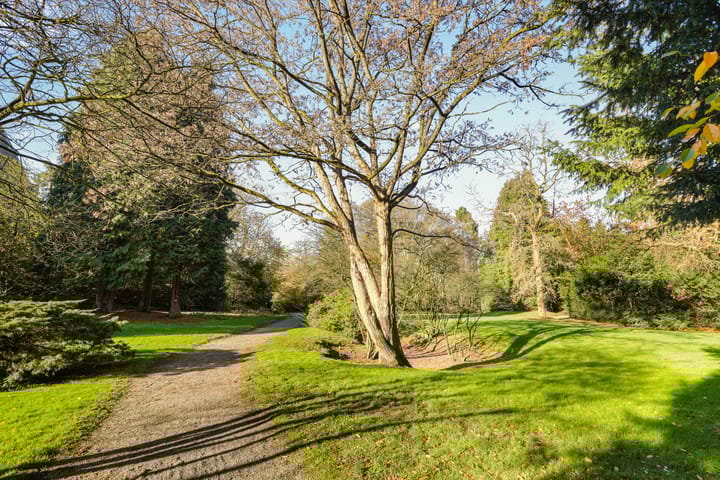 Foto 14 van Congregatie 60