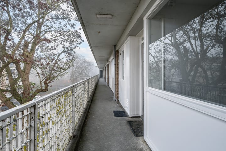 Foto 19 van Platostraat 80