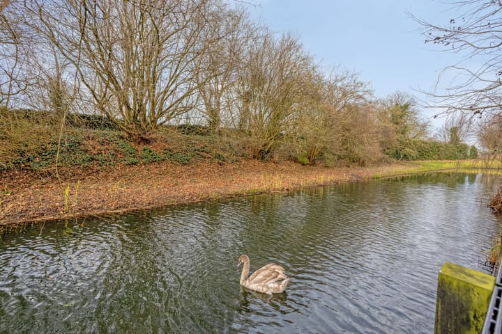 Foto 50 van Schoener 18 10