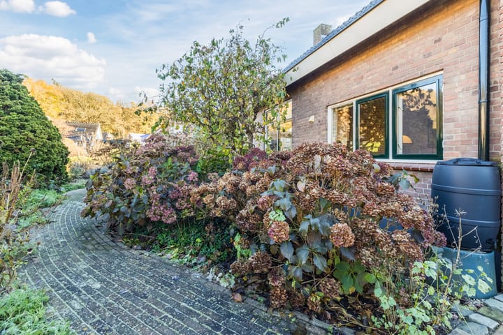 Photo 46 of Tusseler 144