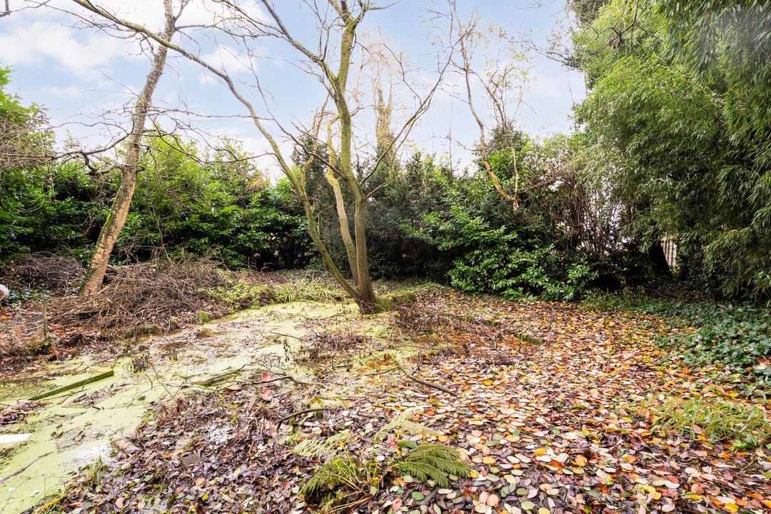 Foto 71 van Binnenpad 41