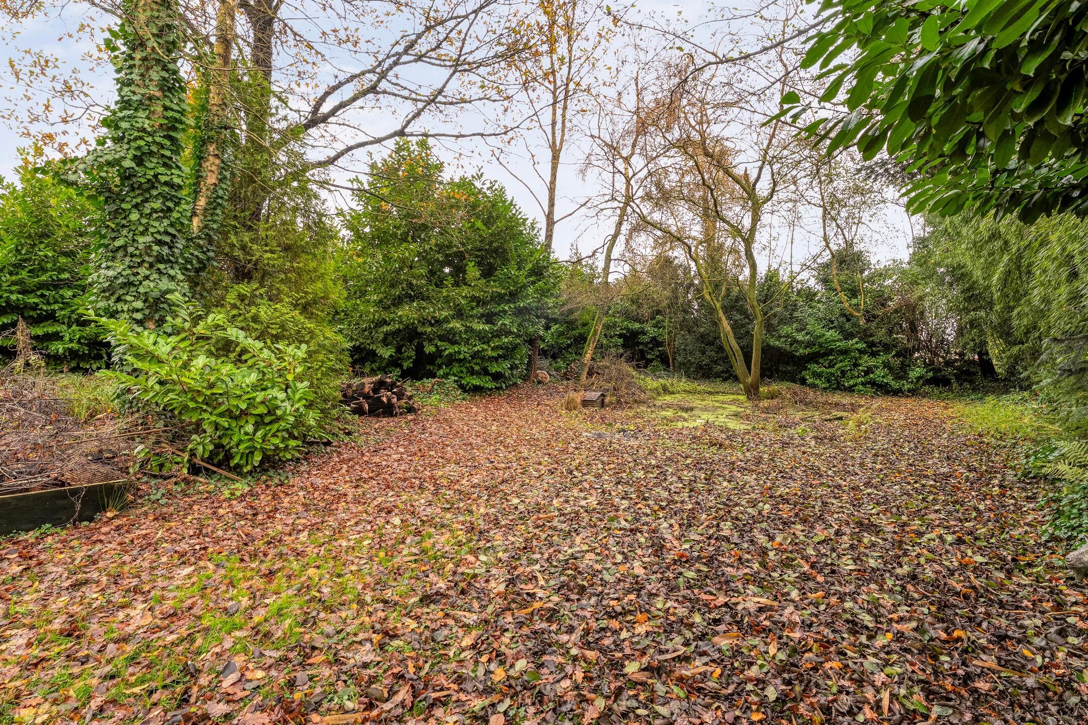 Foto 72 van Binnenpad 41