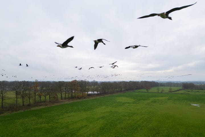 Foto 51 van Hallsedijk 55