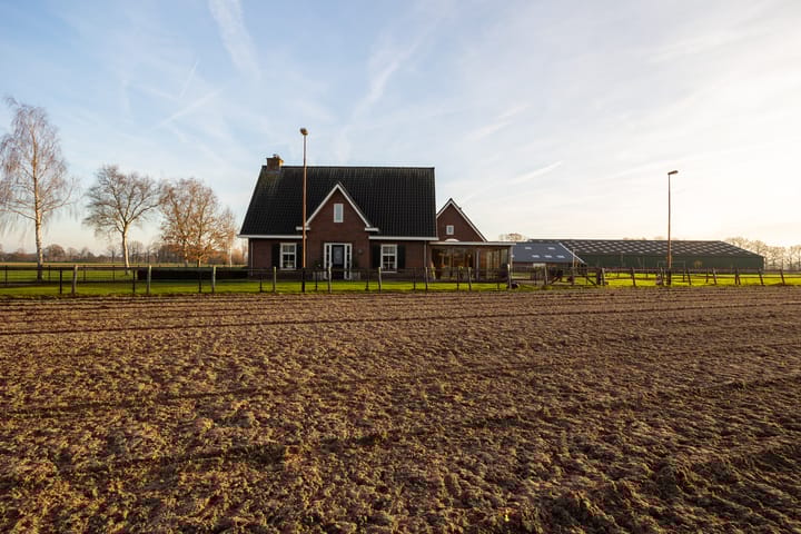 Foto 55 van Hallsedijk 55