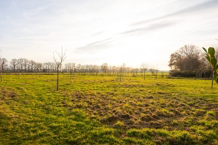 Foto 59 van Hallsedijk 55