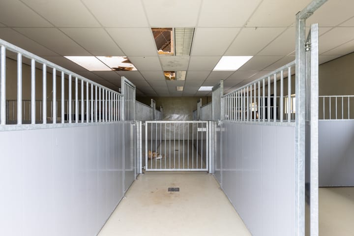 Foto 67 van Hallsedijk 55