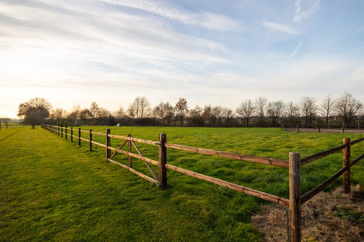 Foto 76 van Hallsedijk 55