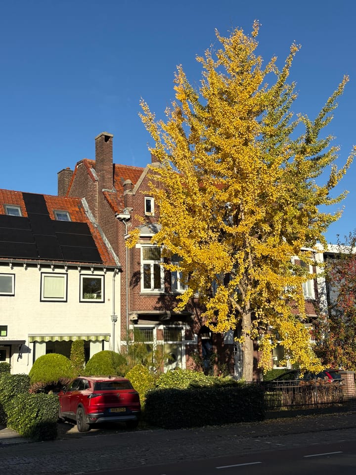 Photo 44 of Bredaseweg 223