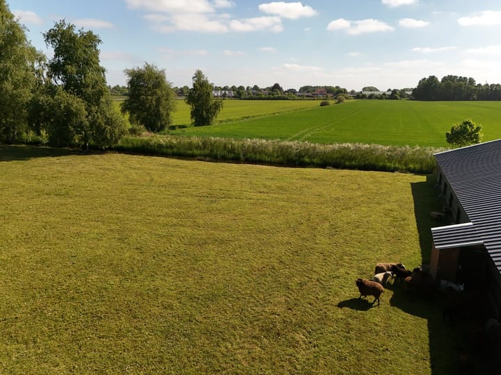 Foto 5 van Paterslaan 59-A