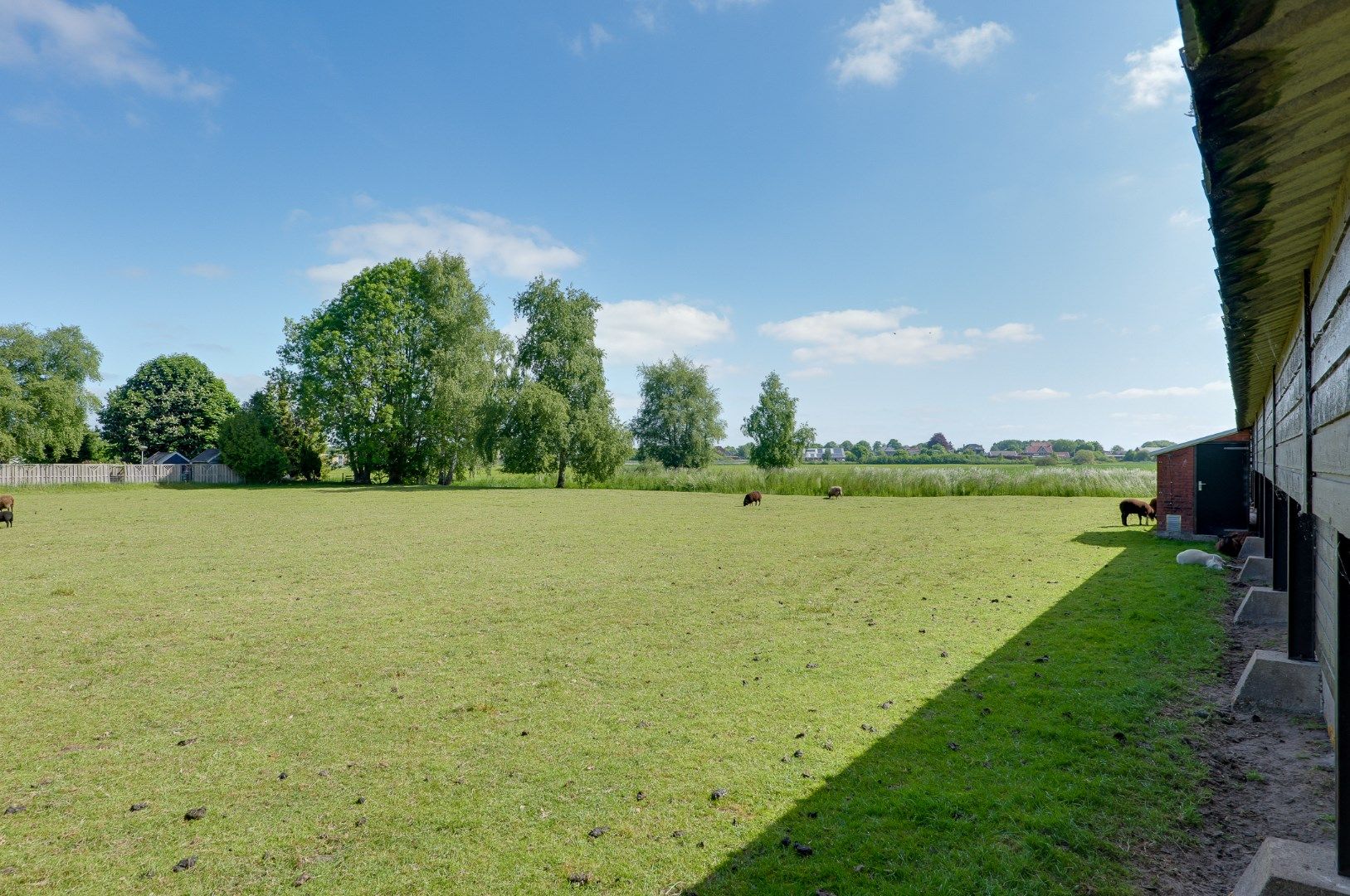 Foto 39 van Paterslaan 59-A