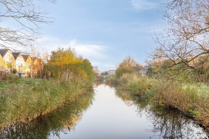 Foto 29 van Antheunisstraat 41