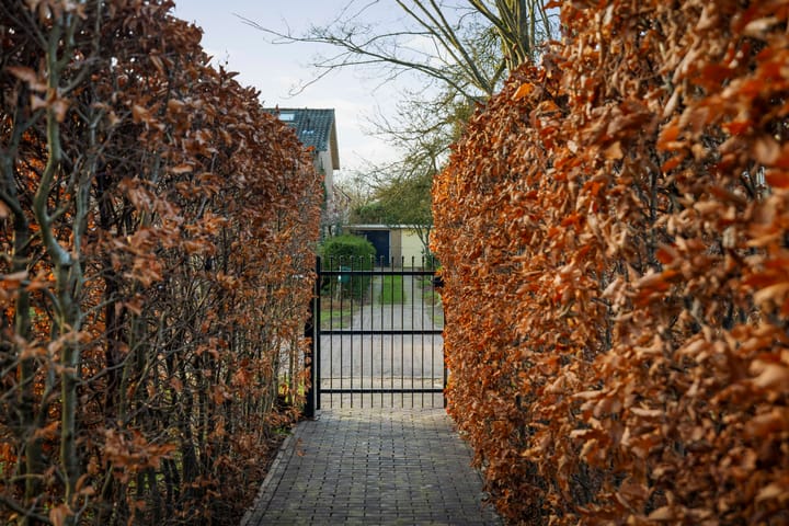 Photo 60 of Burg. Arriënsweg 5